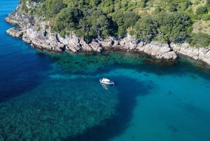 Whitianga: tour in barca con fondo trasparente (2 ore)