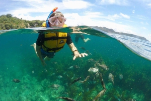 Whitianga: tour in barca con fondo trasparente (2 ore)