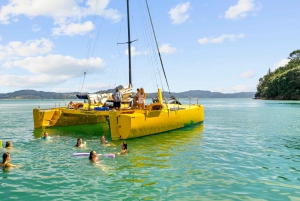 Whitianga: Gita in barca a vela a Cathedral Cove