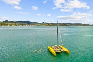 Whitianga: Sailing Trip to Cathedral Cove