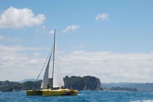 Whitianga: Sailing Trip to Cathedral Cove