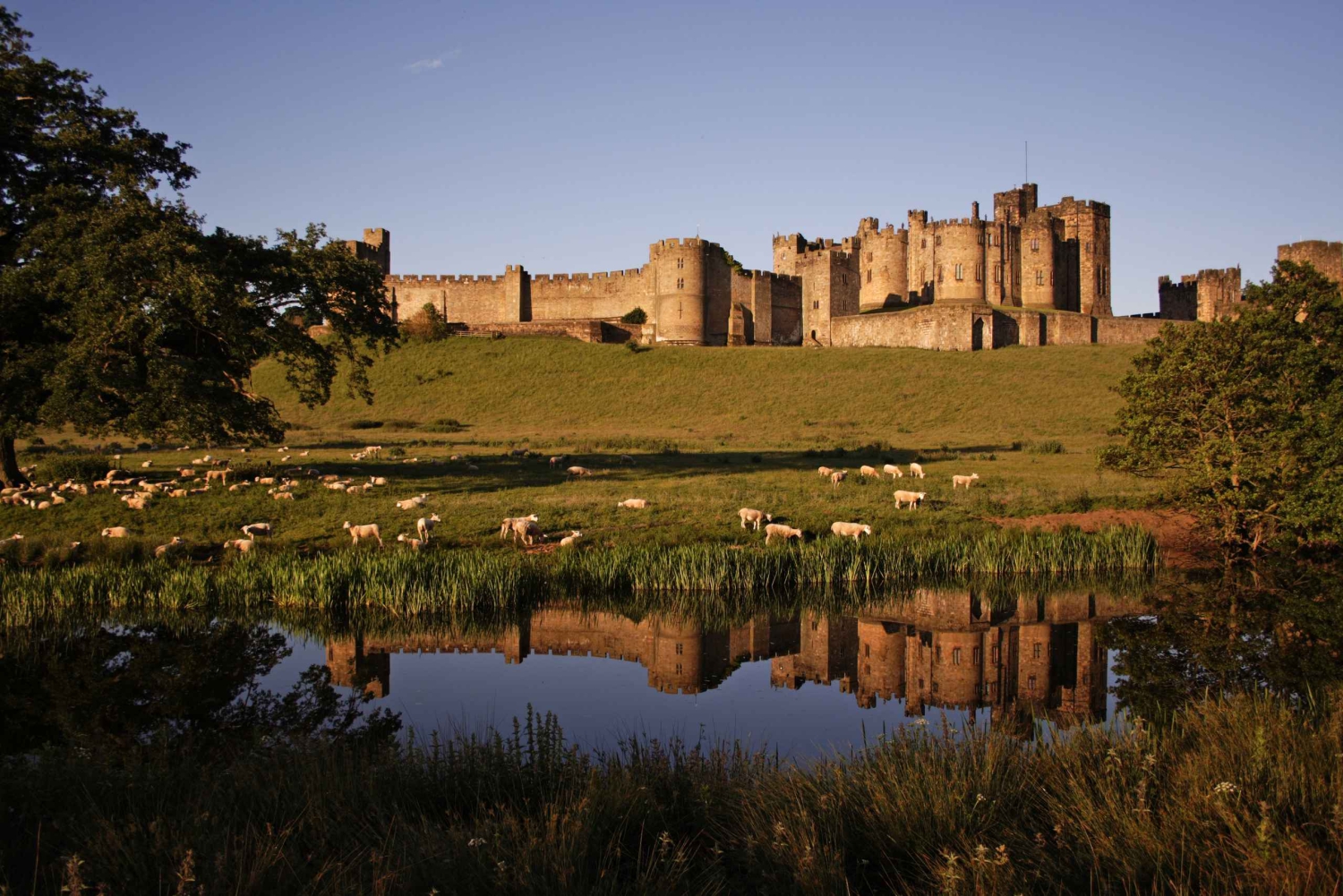 Da Edimburgo: Holy Island, il castello di Alnwick e la Northumbria