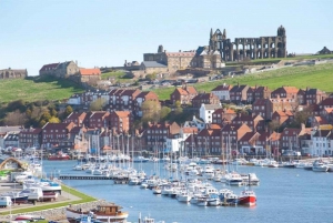 Fra York: Dagstur til Whitby og North York Moors