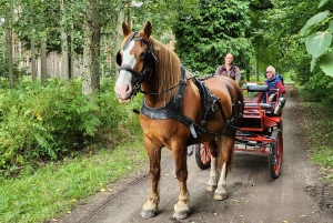York: Fahrt mit der Pferdekutsche durch das ländliche York