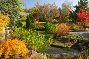 Royal Horticultural Society: Billett til Harlow Carr-hagen