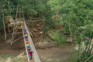 York: Entrébillet til Castle Howard Gardens and Grounds