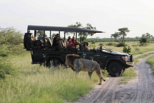 Chobe Day Trip from Victoria Falls, Zimbabwe