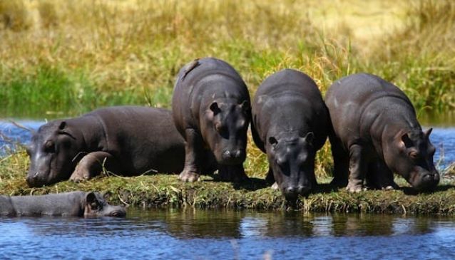 Best Private Game Parks Around Harare