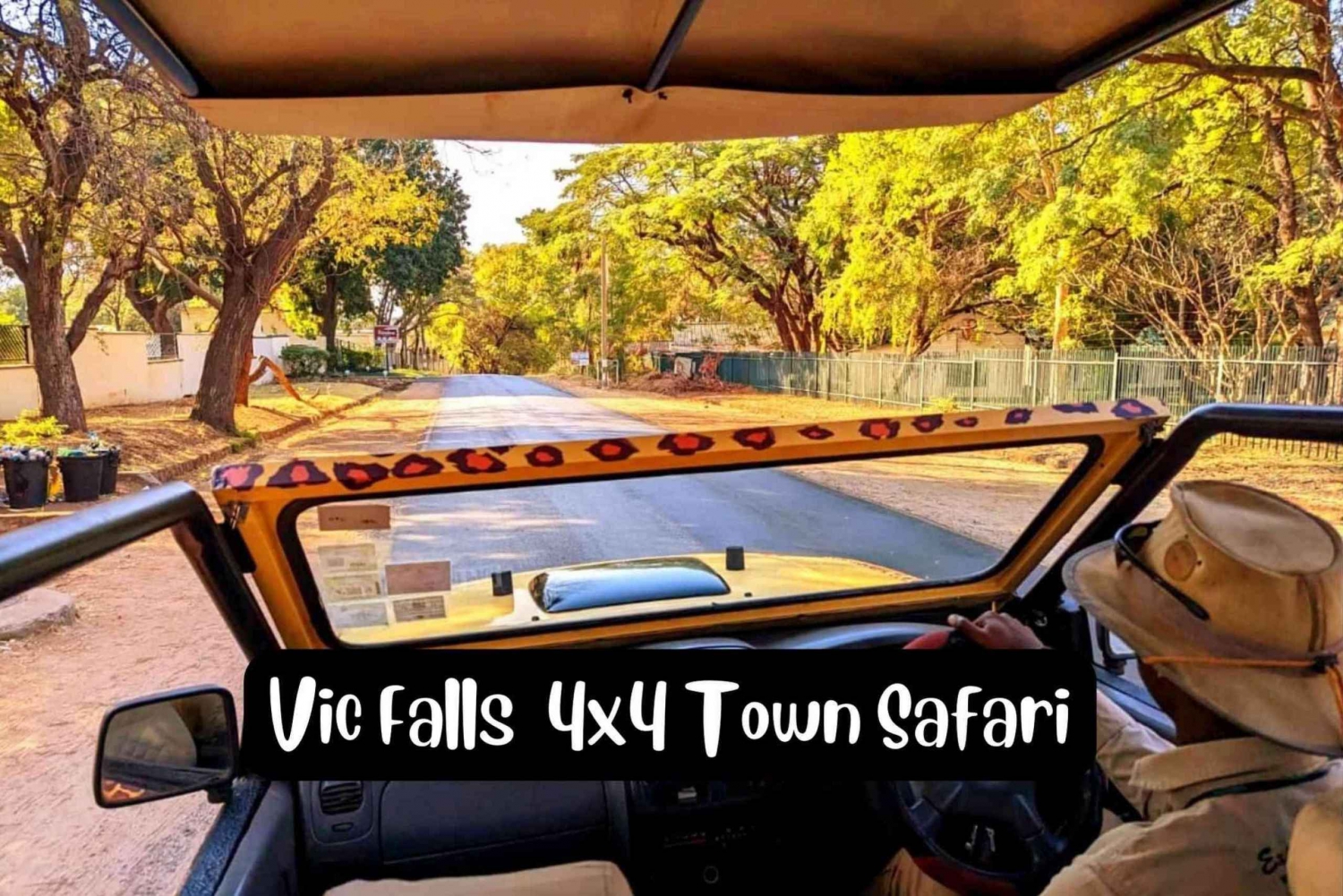 Victorian putoukset: 4x4 Victoria Falls Town Safari