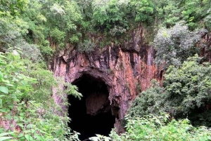 Zimbabwe: Chinhoyi Caves Tour with Lion Viewing and Lunch