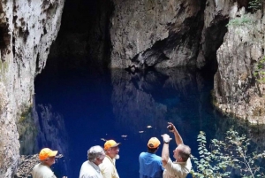 Zimbabwe: Chinhoyi Caves Tour with Lion Viewing and Lunch