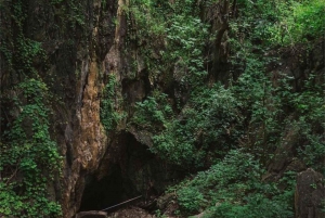 Zimbabwe: Chinhoyi Caves Tour with Lion Viewing and Lunch