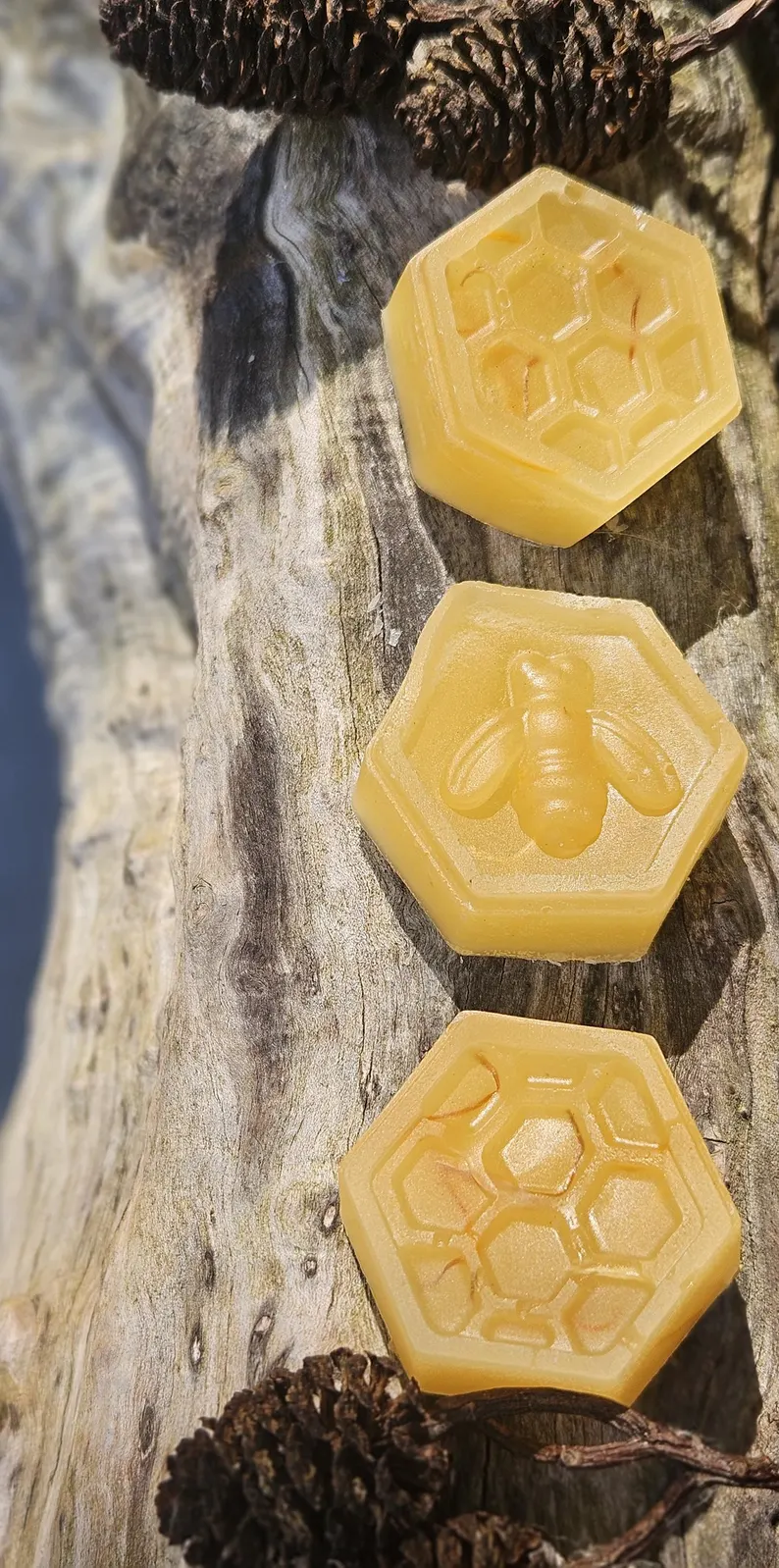 Honey and Vanilla Bees Wax Melts: Added botanicals