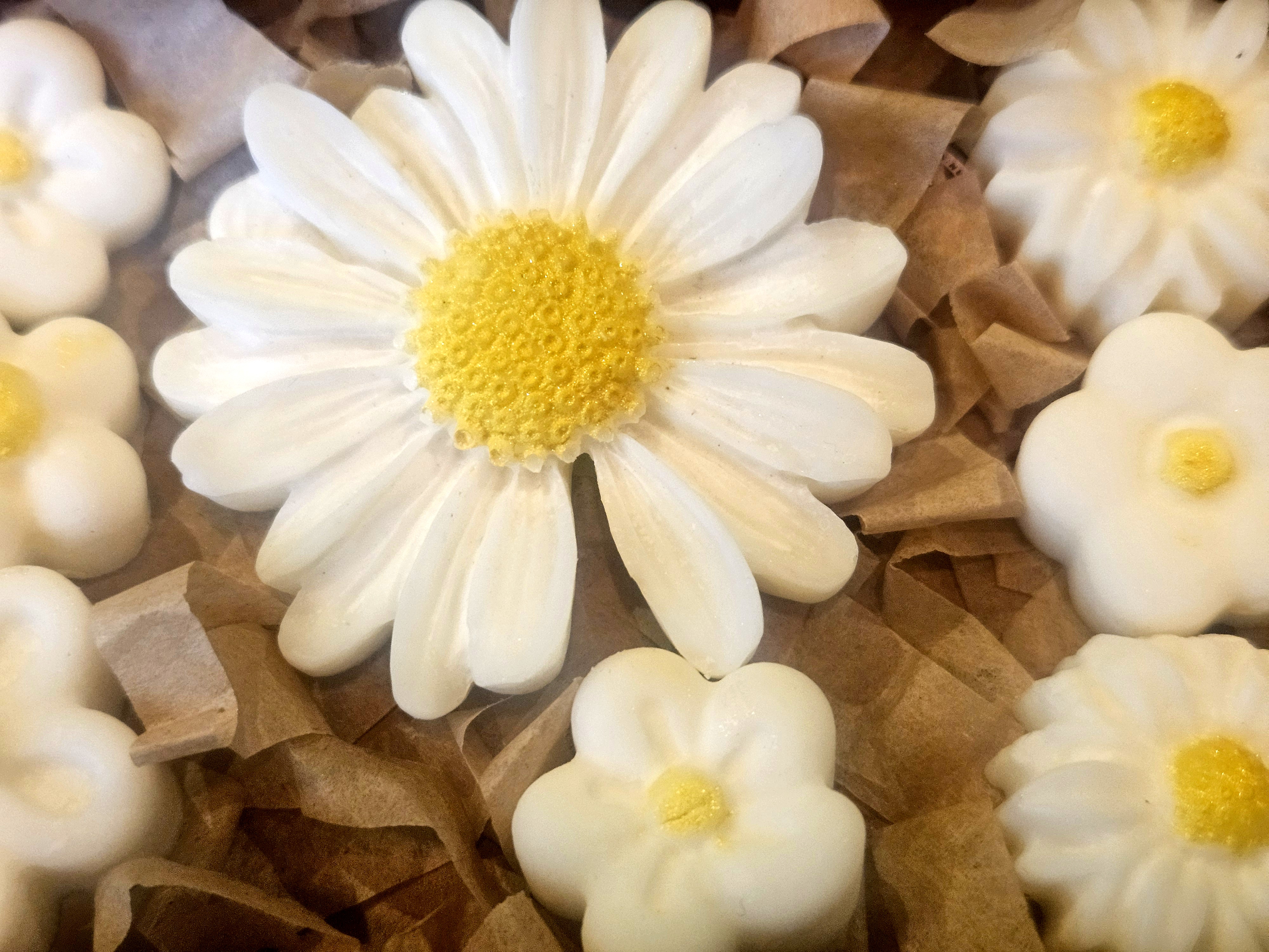 Floral Soy Wax Melt Gift Set – Perfume Inspired, Vegan Friendly mothers day Easter