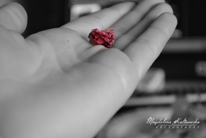 DSC_0160, 
