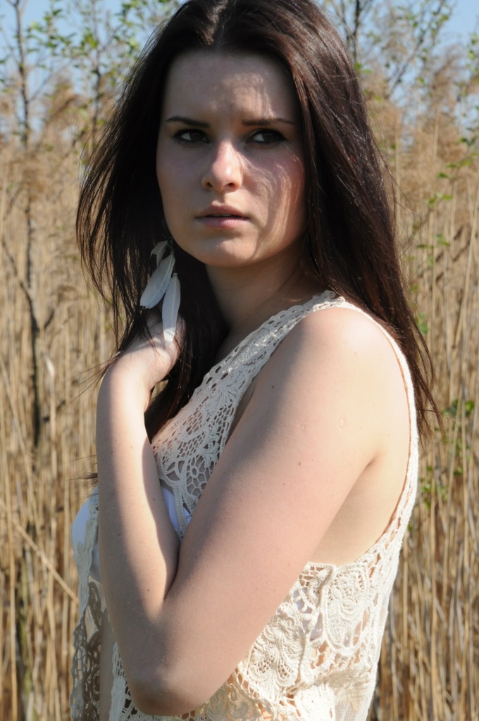 DSC_6511, 