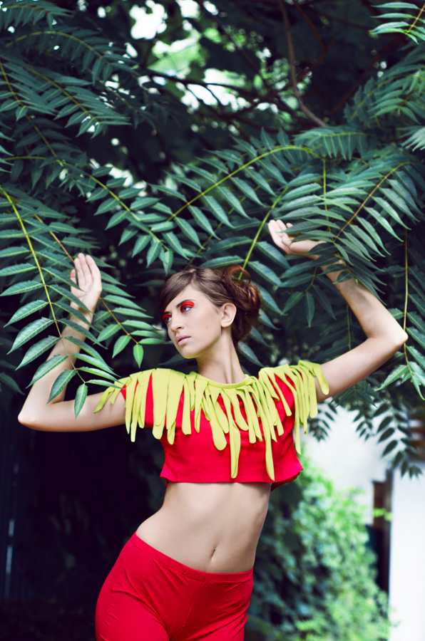 red bird, 