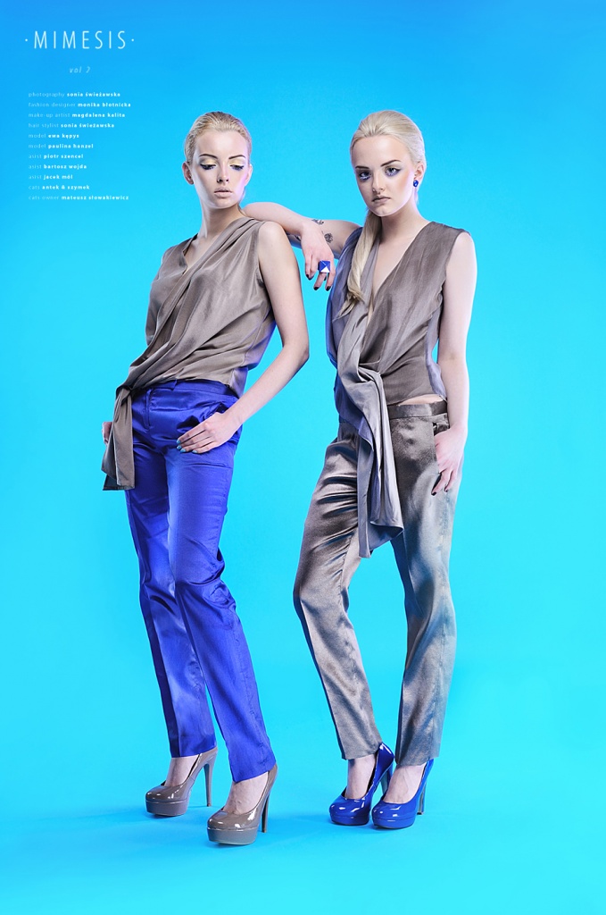 MIMESIS 2, 