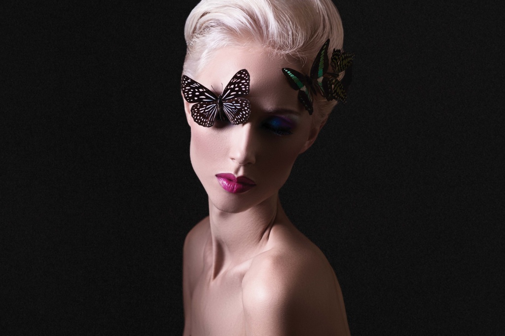 Butterfly Effect, 