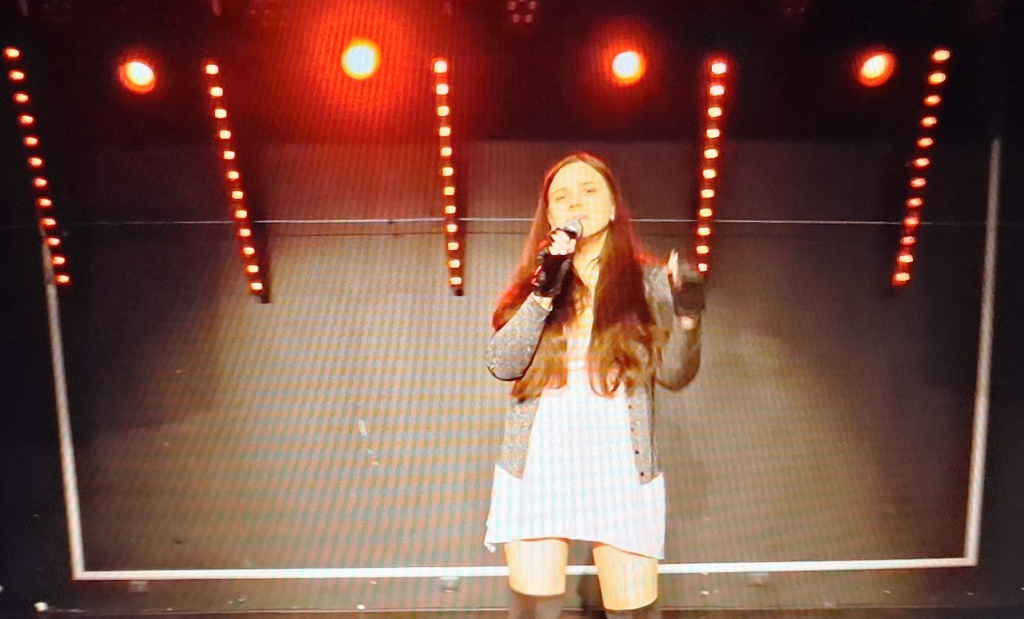 singer, 