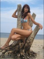 iwona079d