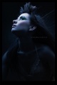 !Sandra_Z-5 copy