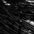 IMG_7169