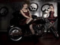just harleys just harleys