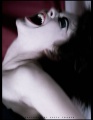 Antworek foto