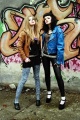 punks bitches