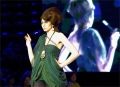 Amberif 2010