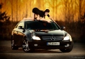 ADStudio.com.pl