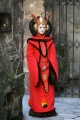 fashion