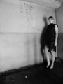 P2081678