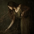 Fot. Jarrod