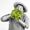 20130128-ART_2471A_11m