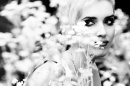 _DSC0289