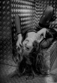 _MG_0700-Edit-2