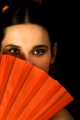 flamenco