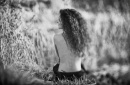 DSC_1549-noise13a