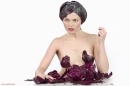 multiarte.com.pl