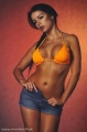 www.multiarte.com.pl