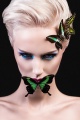 Butterfly Effect