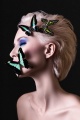 Butterfly Effect
