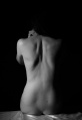 DSC_2579x800bw