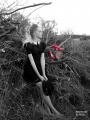 IMG_3810