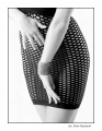 _1040359_inter
