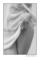 _1040571_inter