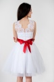 White snoow (6)