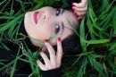 Grass